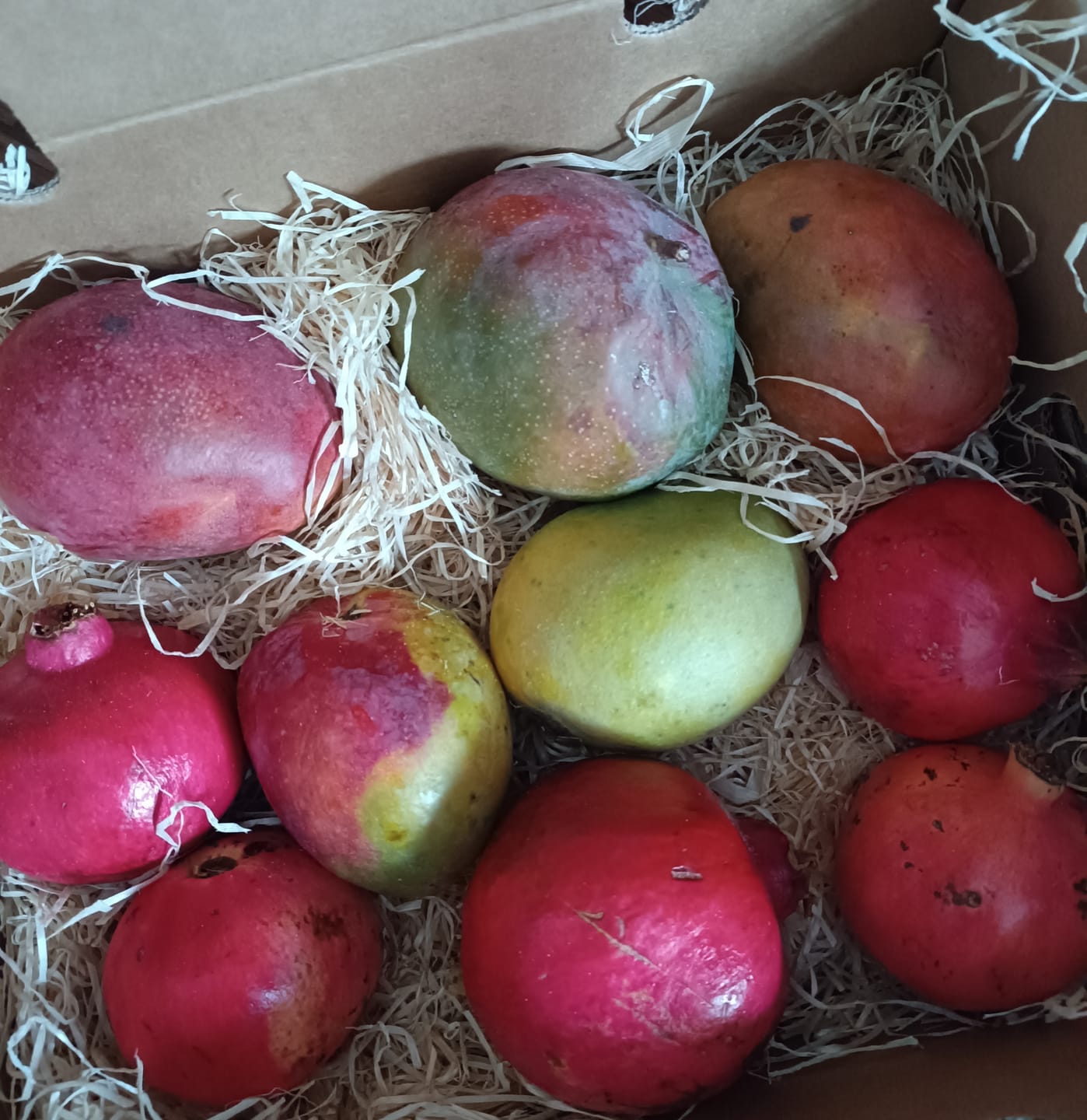 Customer photo review of Mango & Granatapfel Bio Box Aktionspreis % 4kg