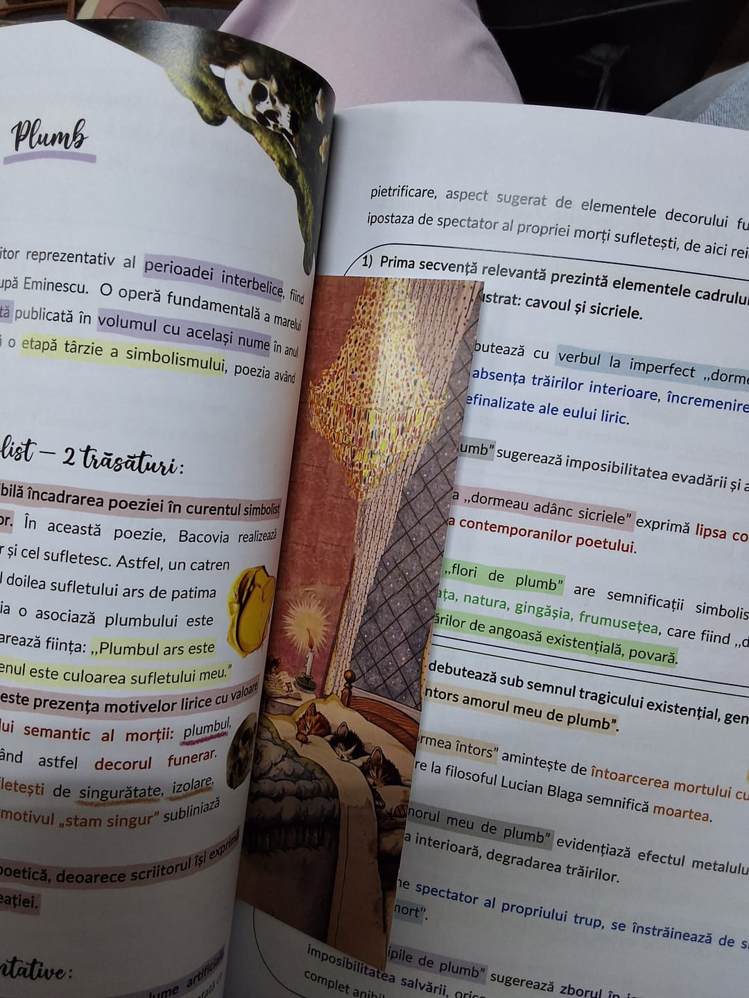 Customer photo review of Pachet Bacalaureat (Română + Matematică + Logică) Bacademia