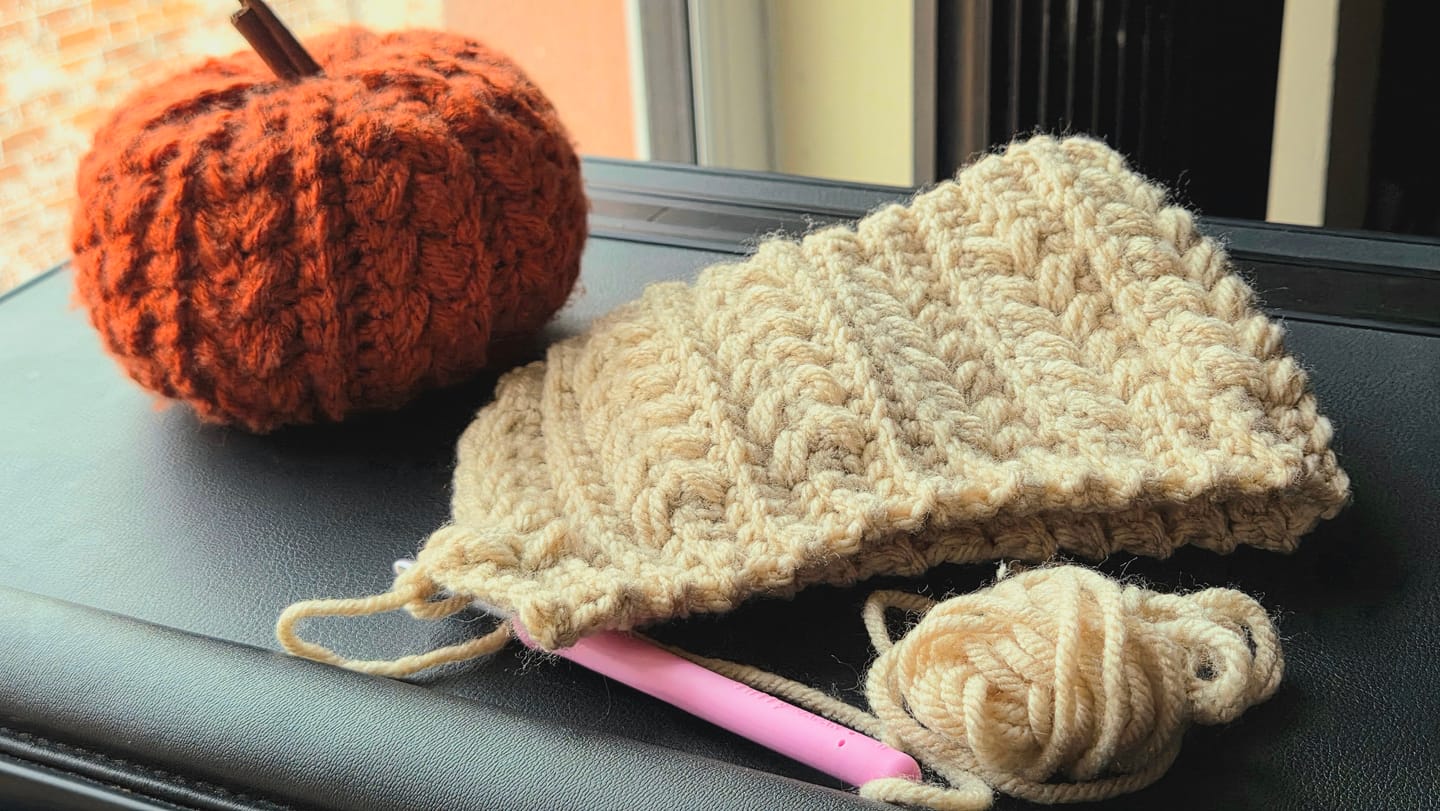 Customer photo review of Stylecraft Special Chunky Yarn – Soft, Affordable & Perfect for Quick Projects