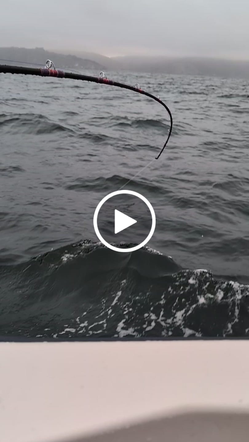 Customer video review of Braided Fishing Line - 300 Yards - No Fade, Pro Grade Performance for Saltwater & Freshwater- Beyond Braid