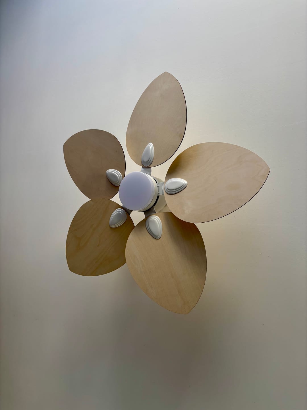 Customer photo review of Dahlia | Ventilateur de plafond