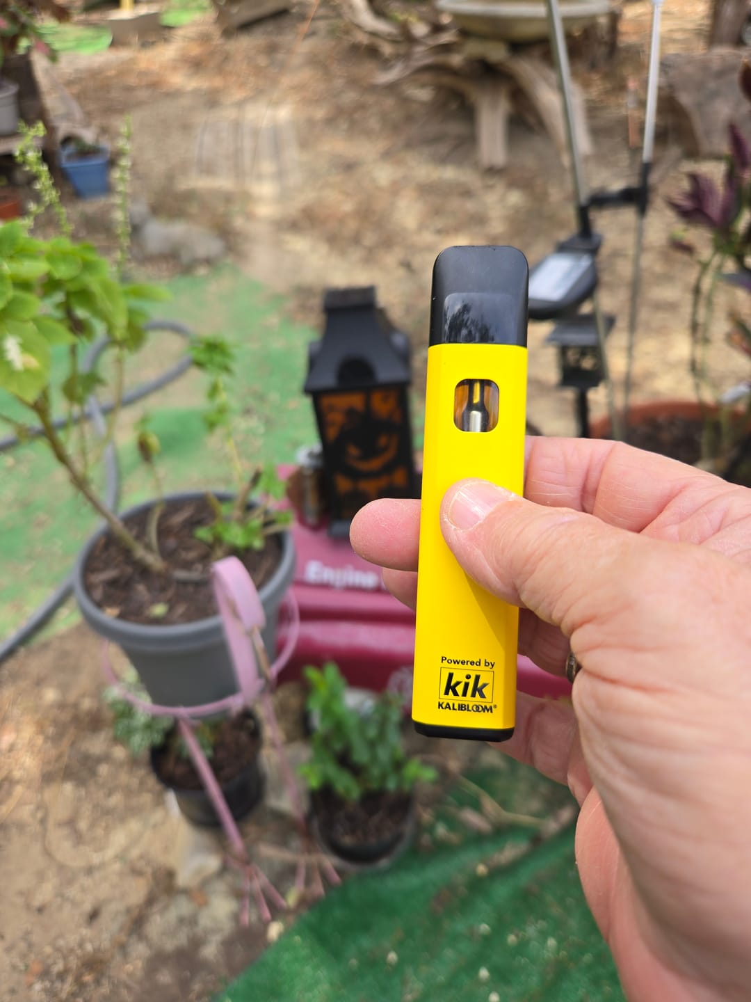 Customer photo review of THCA Distillate Vape (2g)