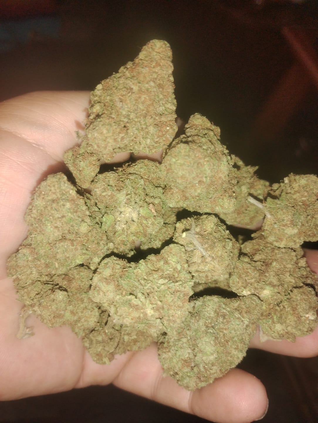 Customer photo review of Snake Venom THCA Flower