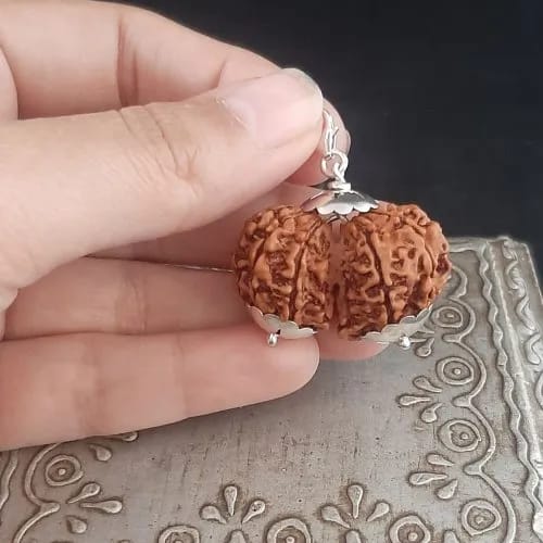 Customer photo review of Gauri Shankar Rudraksha – 100% Natural & Certified
