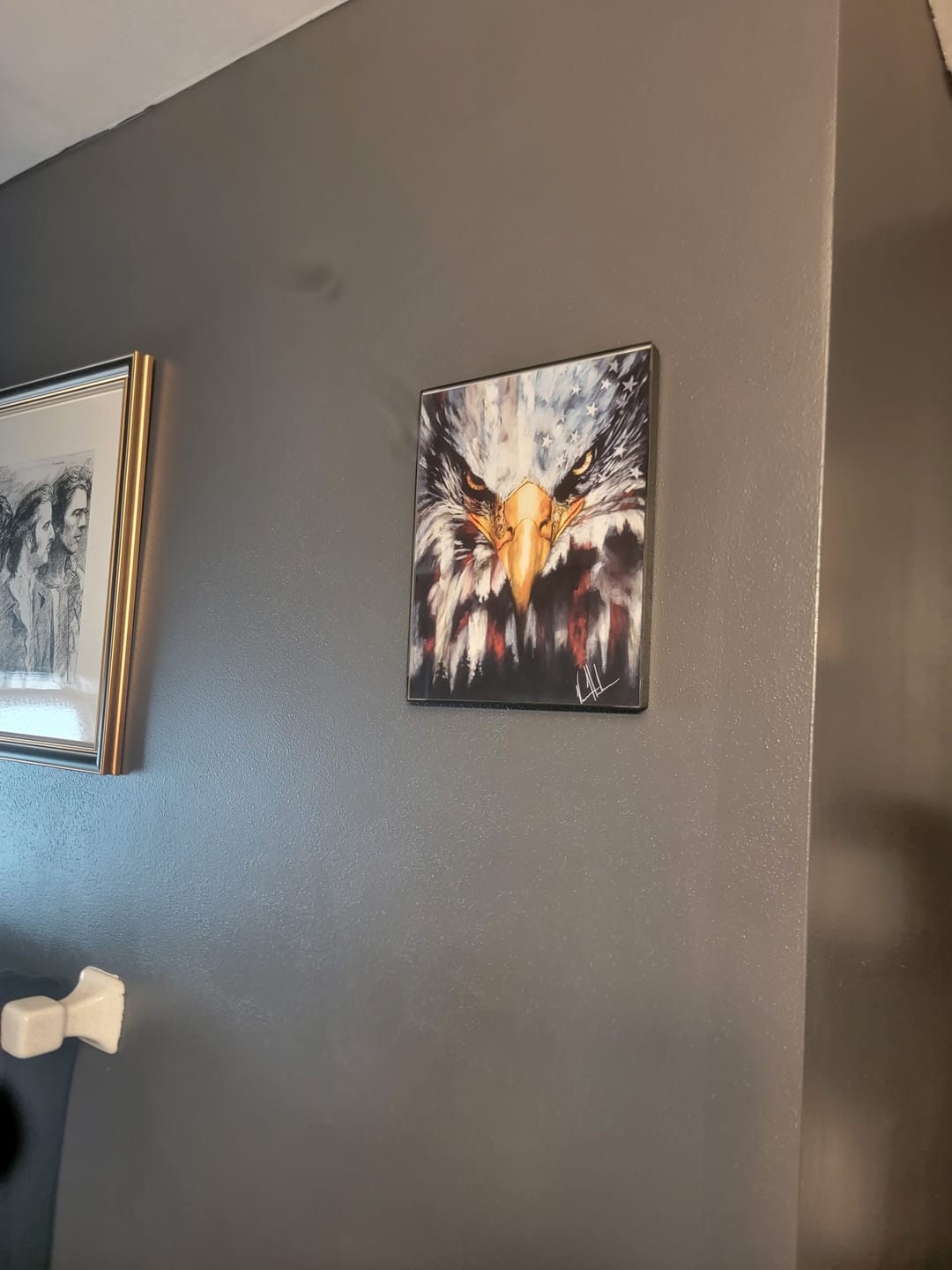 Customer photo review of Stripes of Freedom
