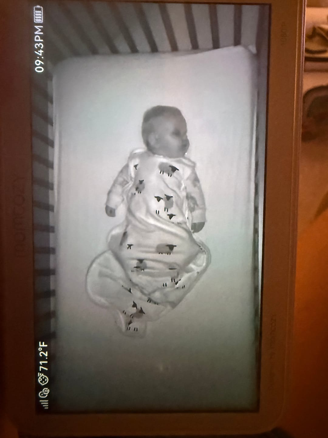 Customer photo review of 4 Season® Ultimate Baby Sleep Bag, Merino Wool & Organic Cotton, Sheep Slate