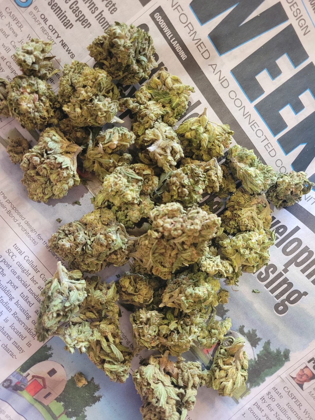 Customer photo review of Heavy OG - 28 Grams - Indica