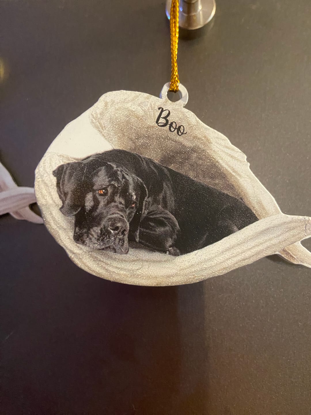 Customer photo review of Personalized Stainless Dog Sleeping Angel Keychain - Double Sides Printed