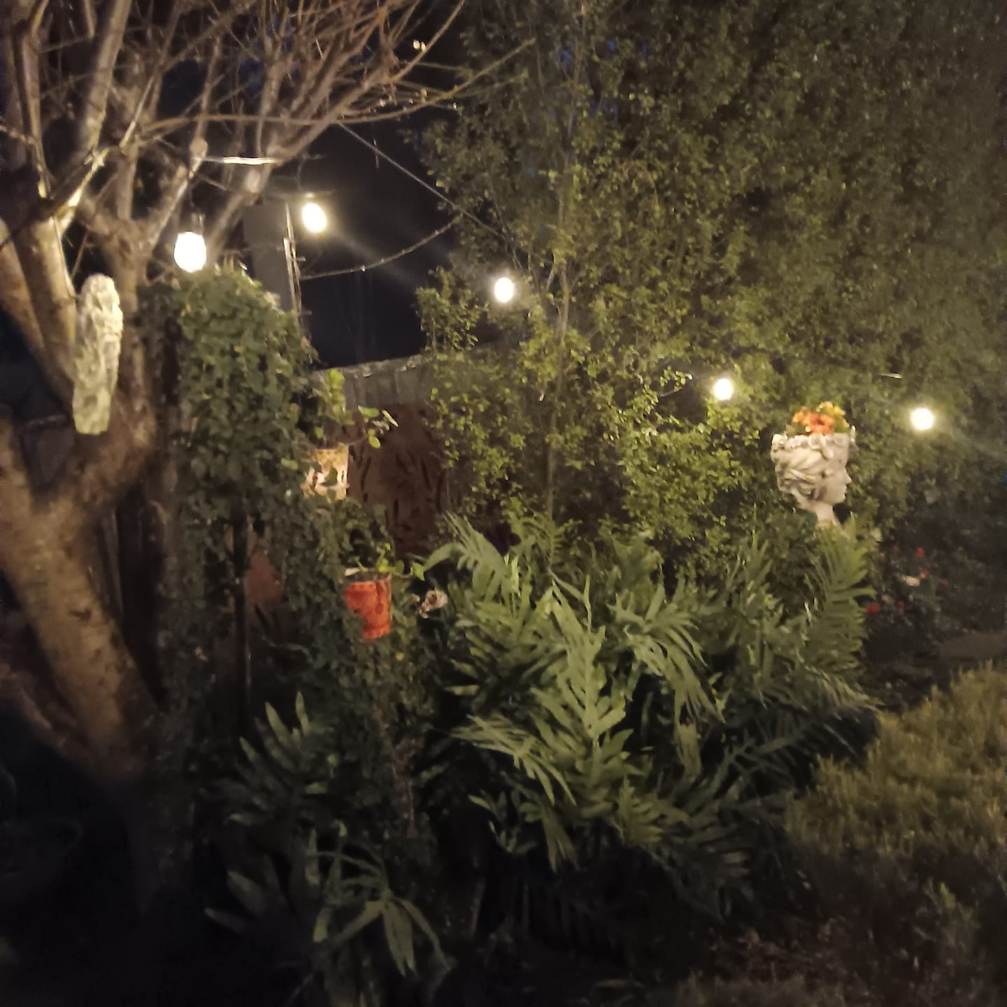 Customer photo review of SolaGarden™ Festoon Lights