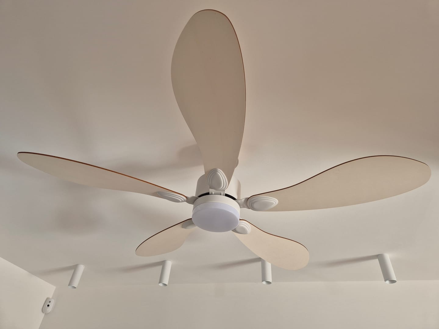 Customer photo review of Libellule | Ventilateur de plafond – Ø 137 cm