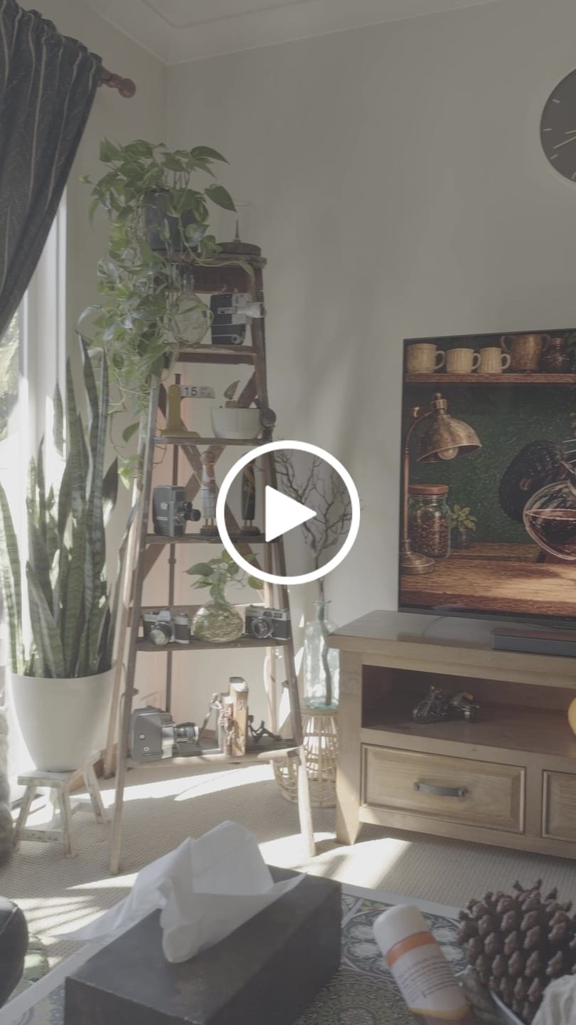 Customer video review of iPhone Apple Log LUTs