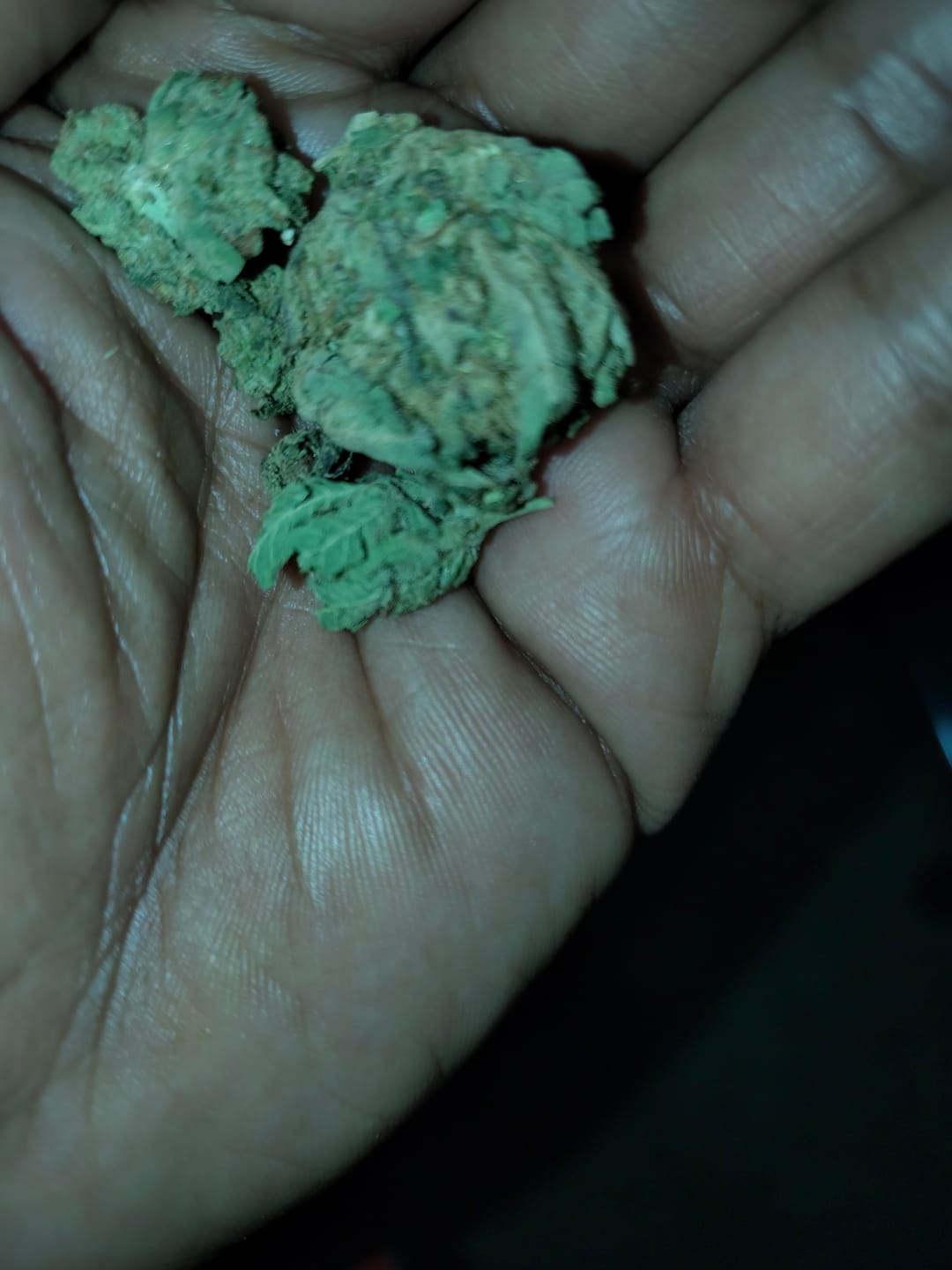 Customer photo review of Cheap THCA Smalls Ounce