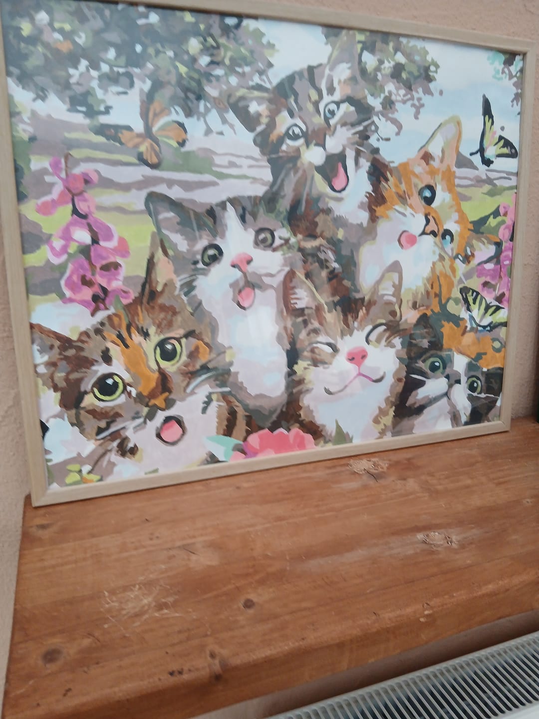 Customer photo review of Mignon petit Chat