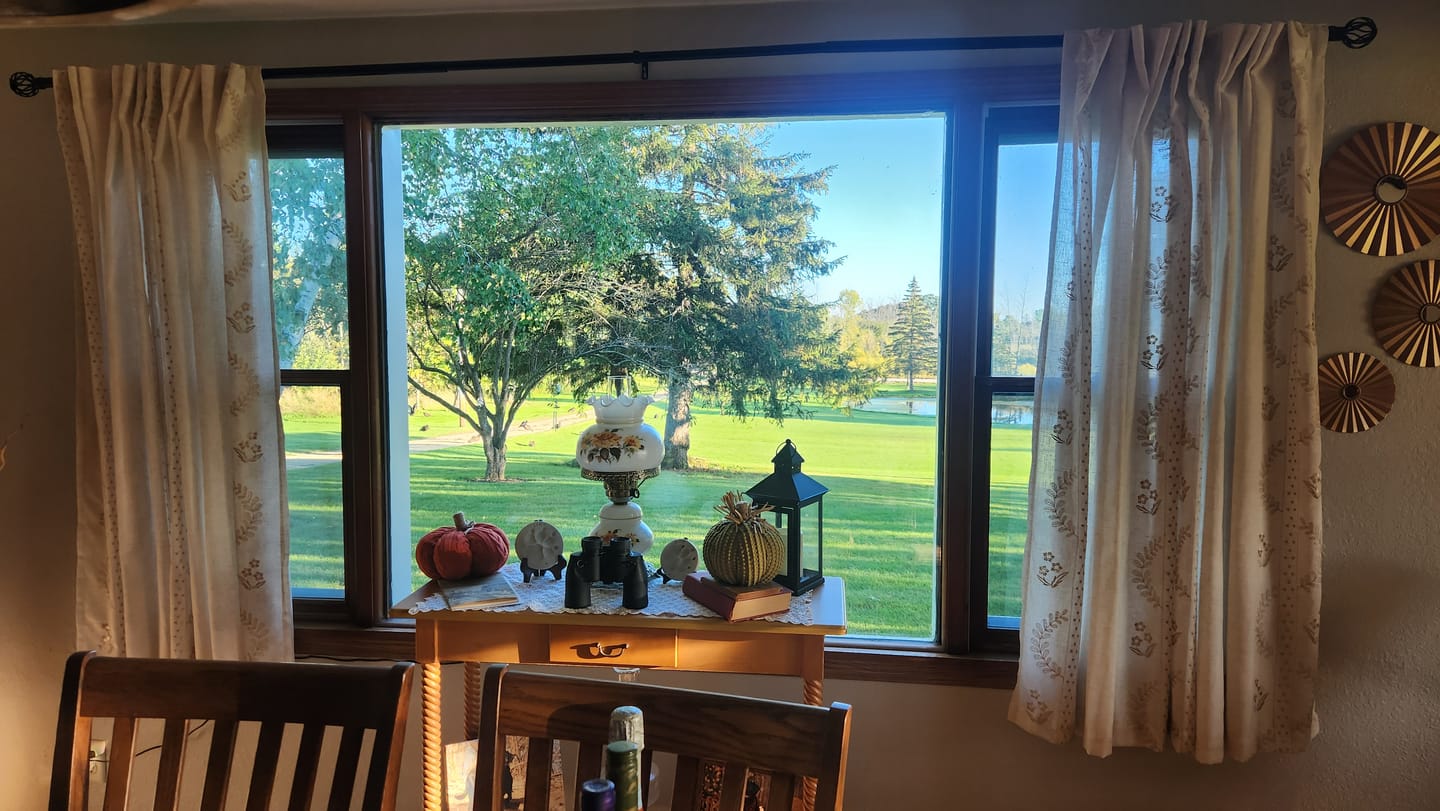 Customer photo review of Vine Blossom Linen Blend Curtains (2 Panels)