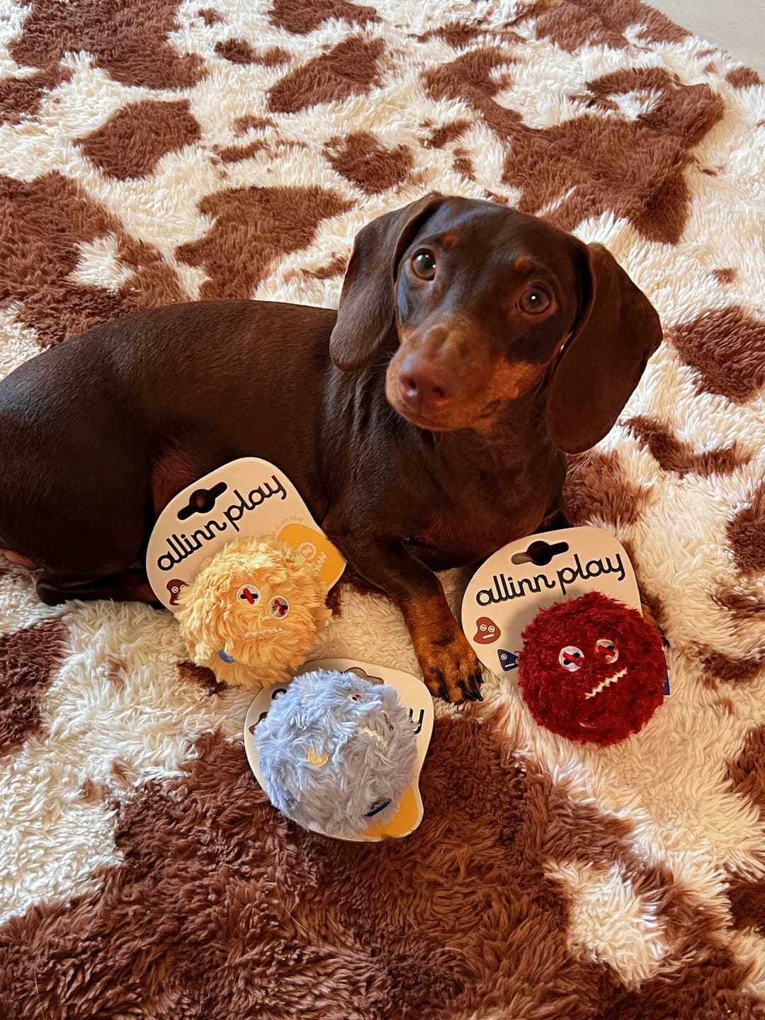 Customer photo review of Cairn Ball · Blend