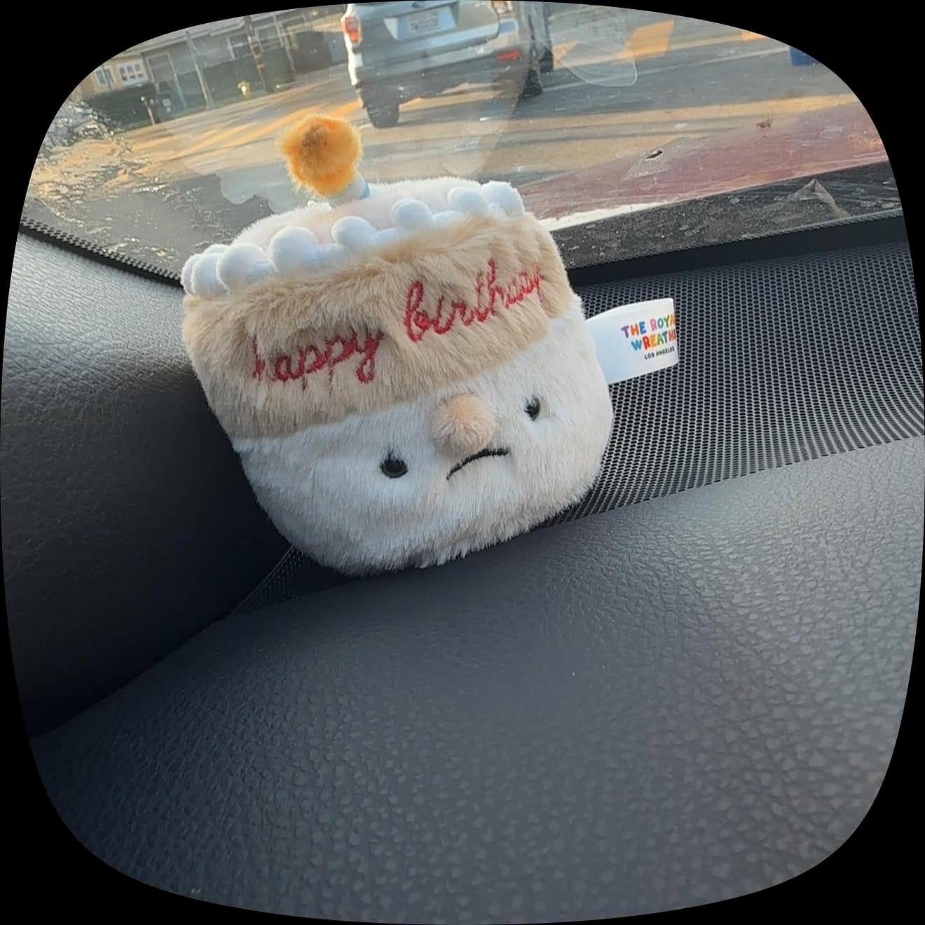 Customer photo review of Forgotten Birthday Cake (NEW - Preorder for End of August)
