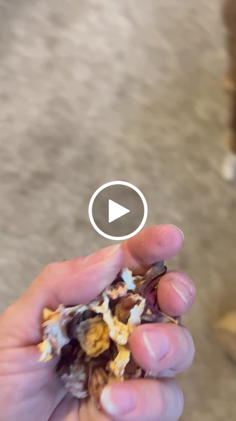 Customer video review of Apfel Chips
