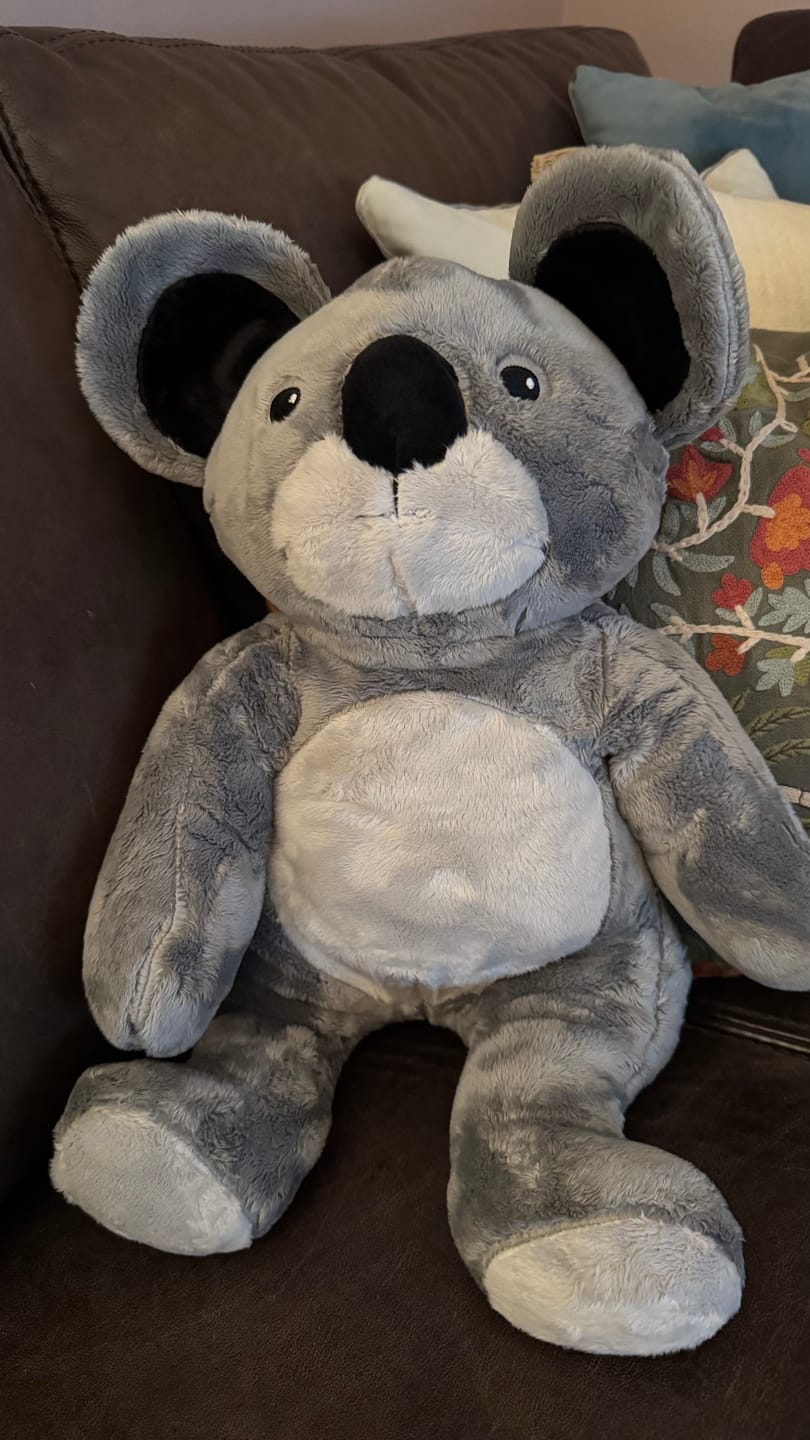 Customer photo review of Lotgenootje Koala 2kg