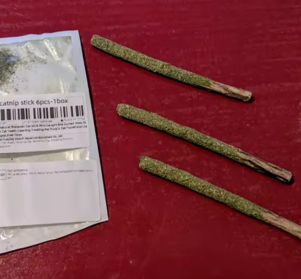 Customer photo review of Matatabi Silvervine Sticks