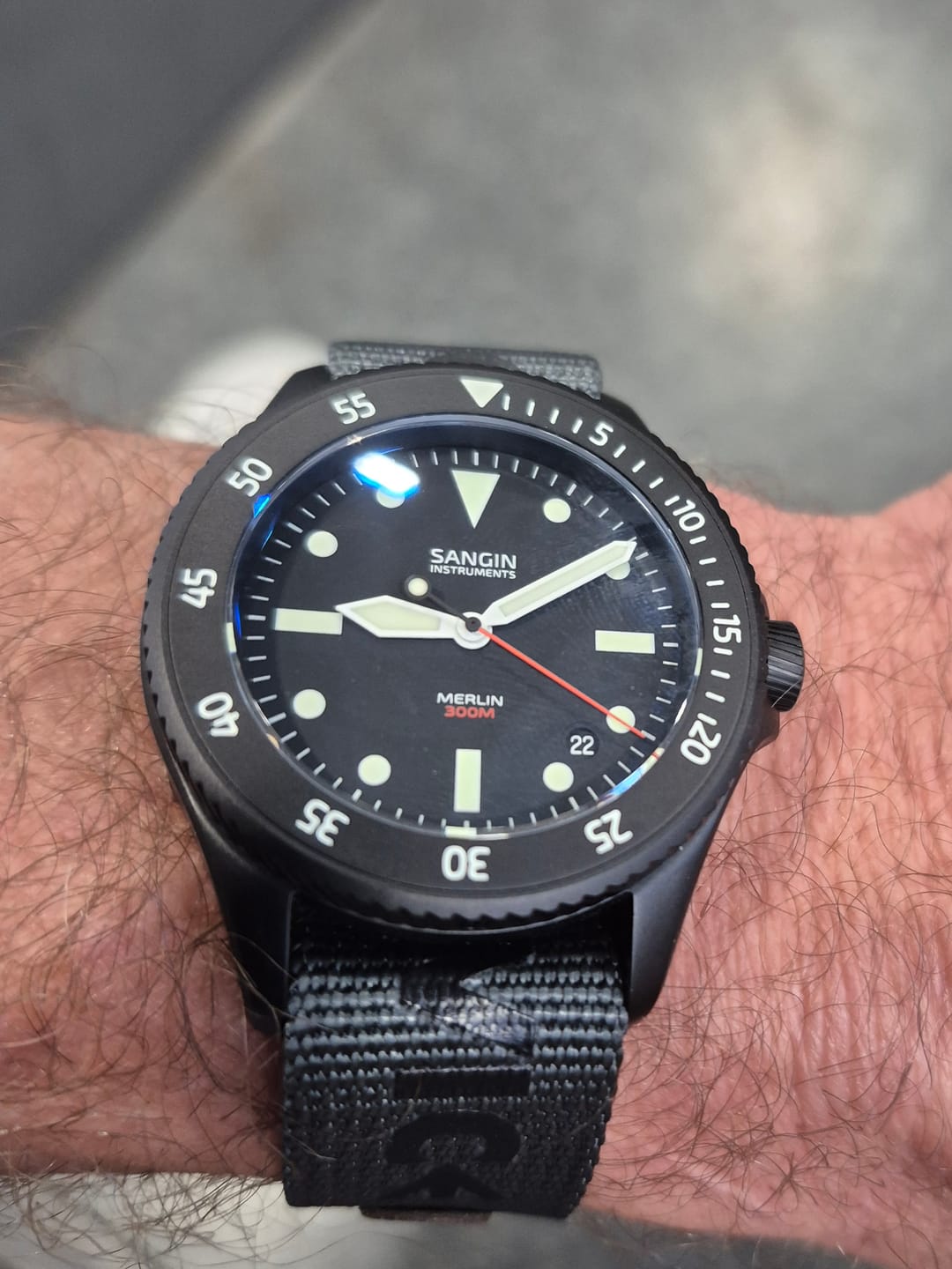 Customer photo review of Merlin (Private Release)