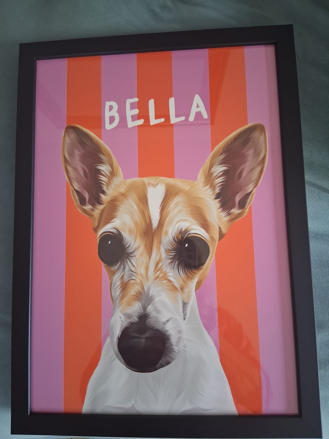 Customer photo review of Gingham | Custom Pet Portrait
