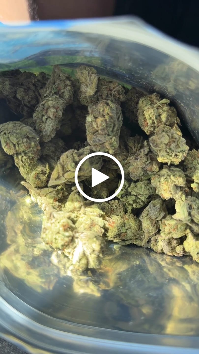 Customer video review of Dank Gatorade THCA Flower - Cheap OZ