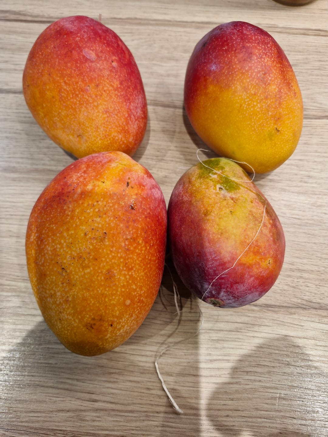 Customer photo review of Mango Irwin Edelsorte Bio von Julian