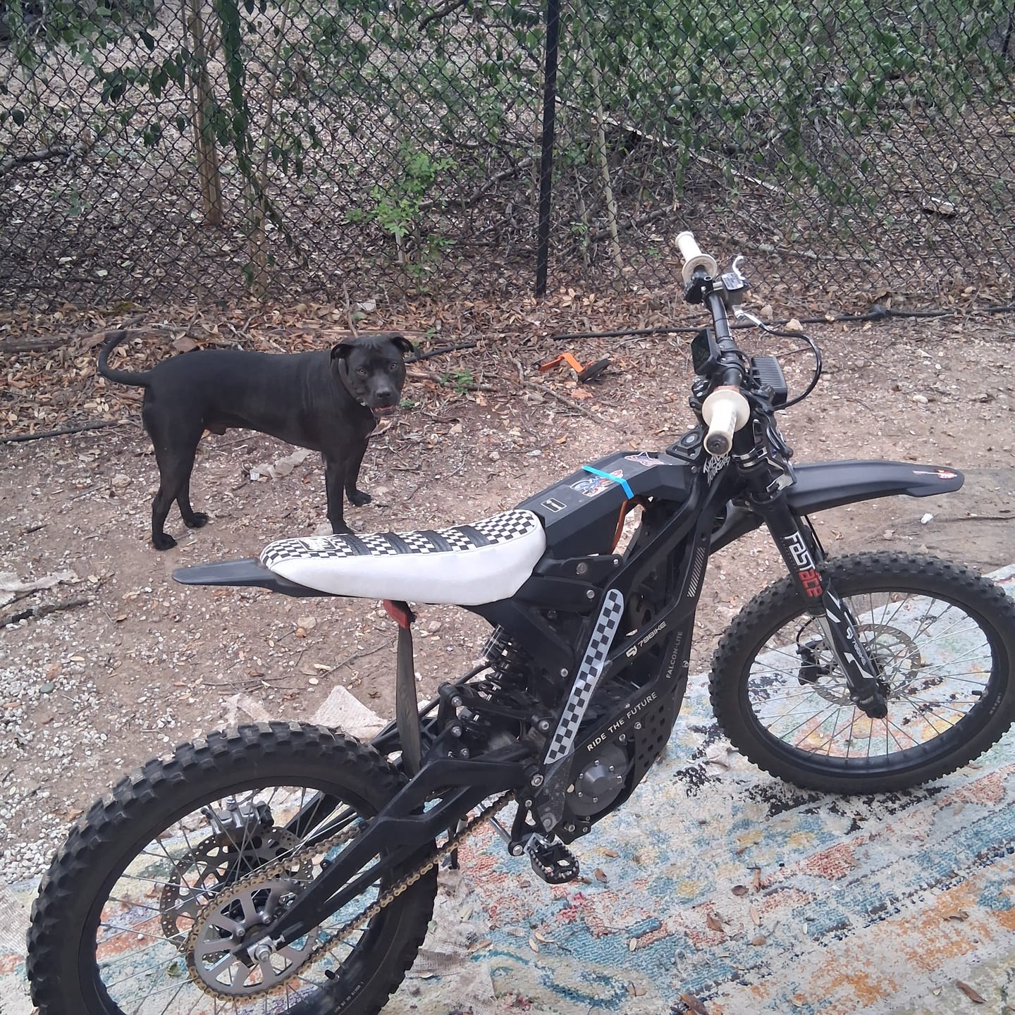 Customer photo review of Custom Seat Cover: 79Bike Falcon Lite