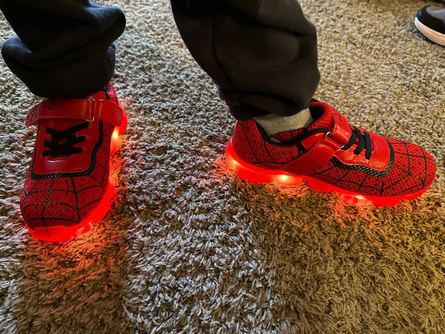 Customer photo review of Spider Pro