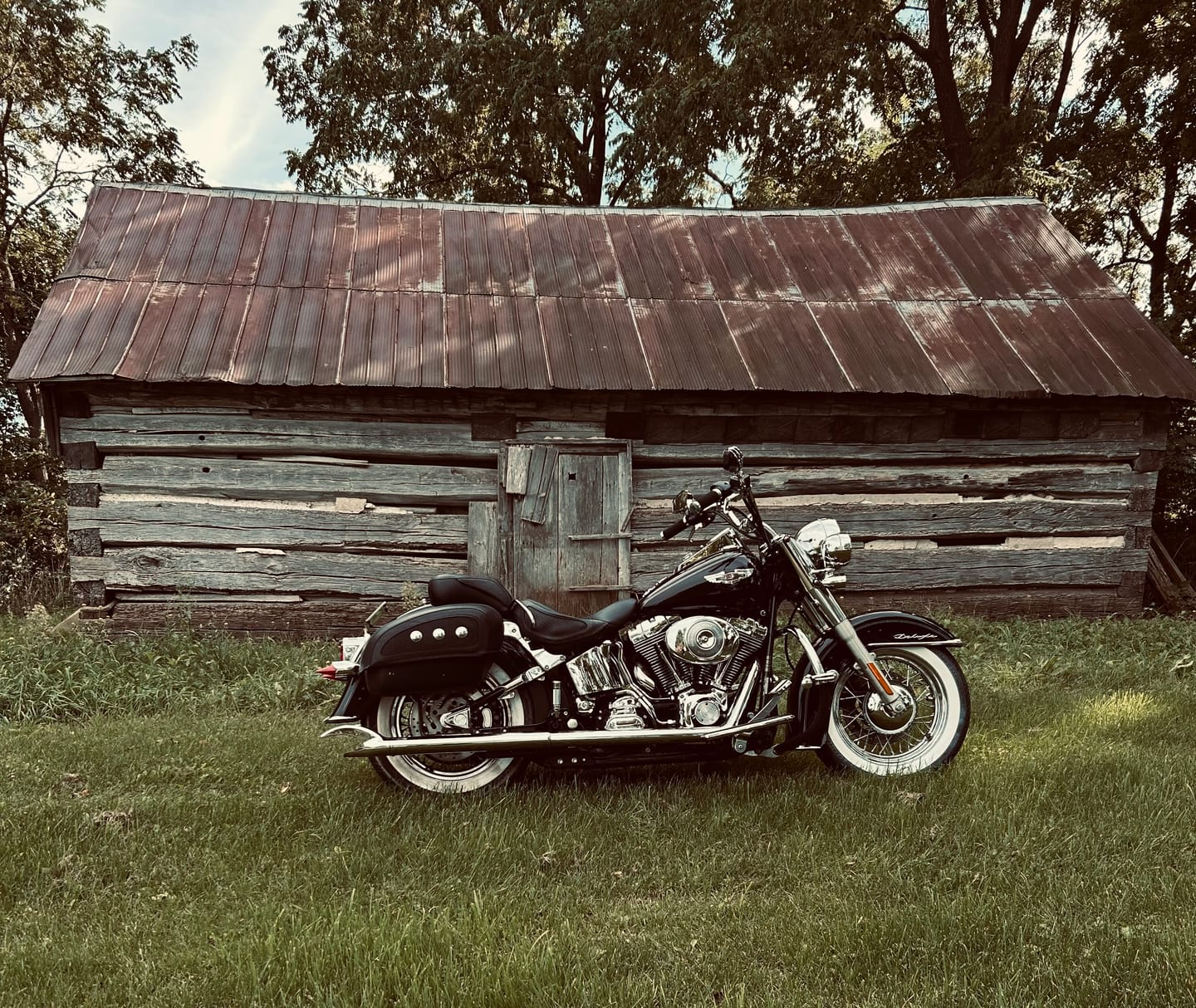 Customer photo review of Harley Davidson Turn Signal Lenses - Clip in Style