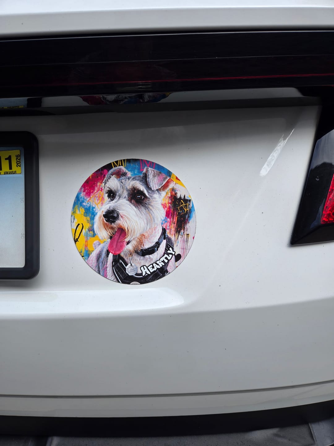 Customer photo review of Graffiti - Personalized Car Magnet