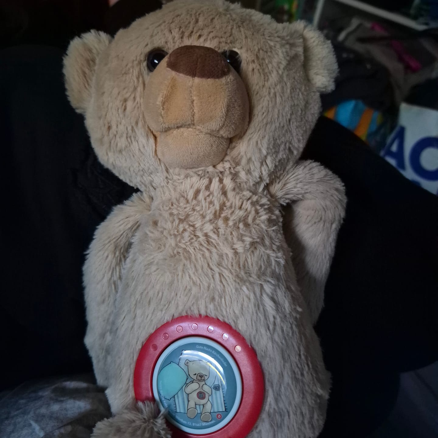 Customer photo review of Theodore KekzBär