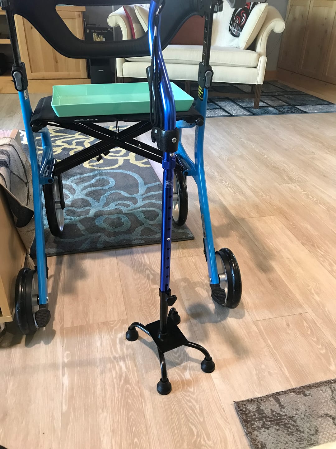 Customer photo review of Quad Cane with Extra Handle