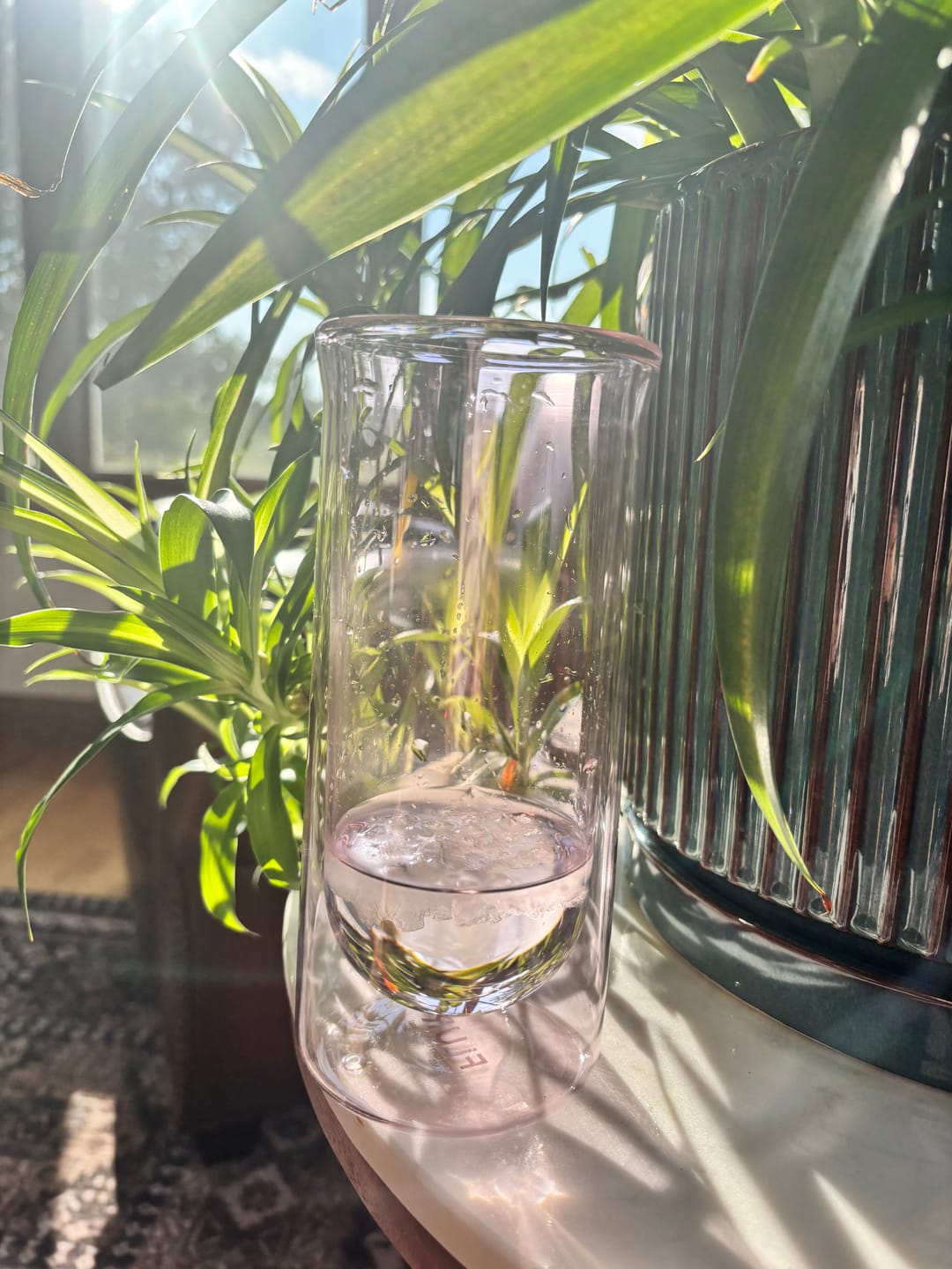 Customer photo review of FLUR Iced Coffee Glasses