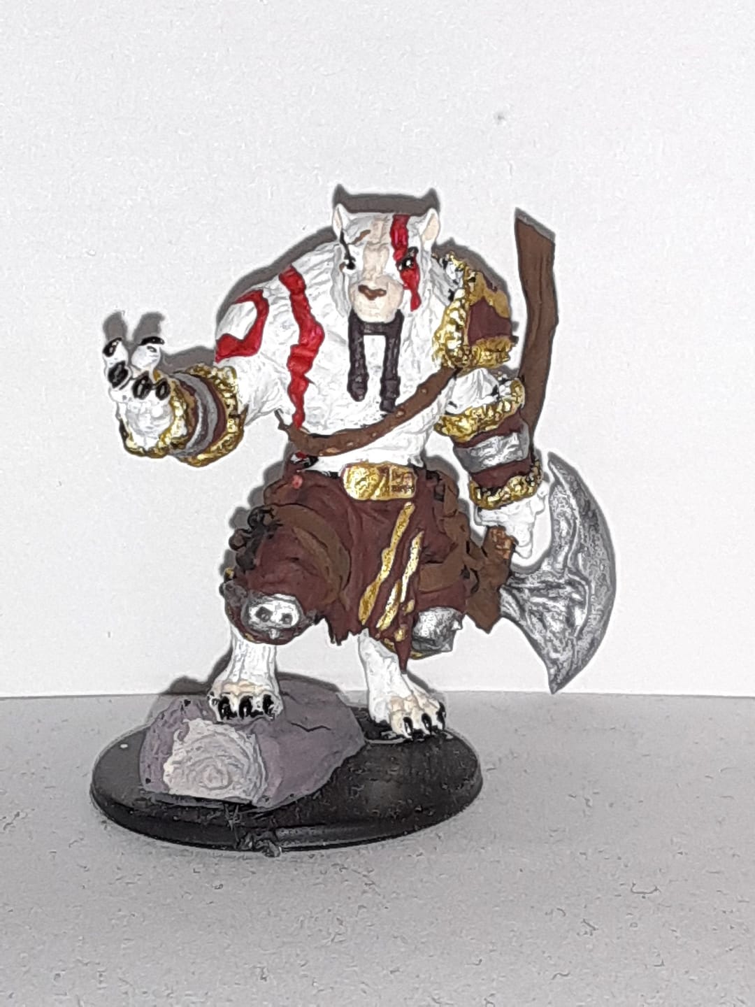 Customer photo review of Tabaxi Barbarian, Male