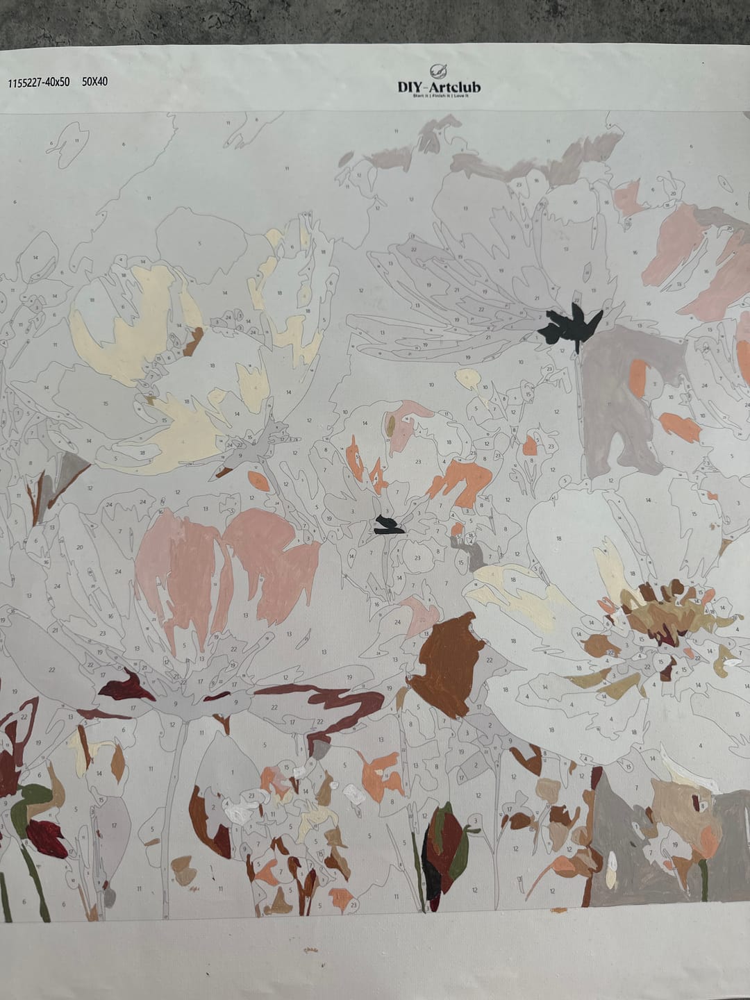 Customer photo review of Fields of Grace | Paint by Number