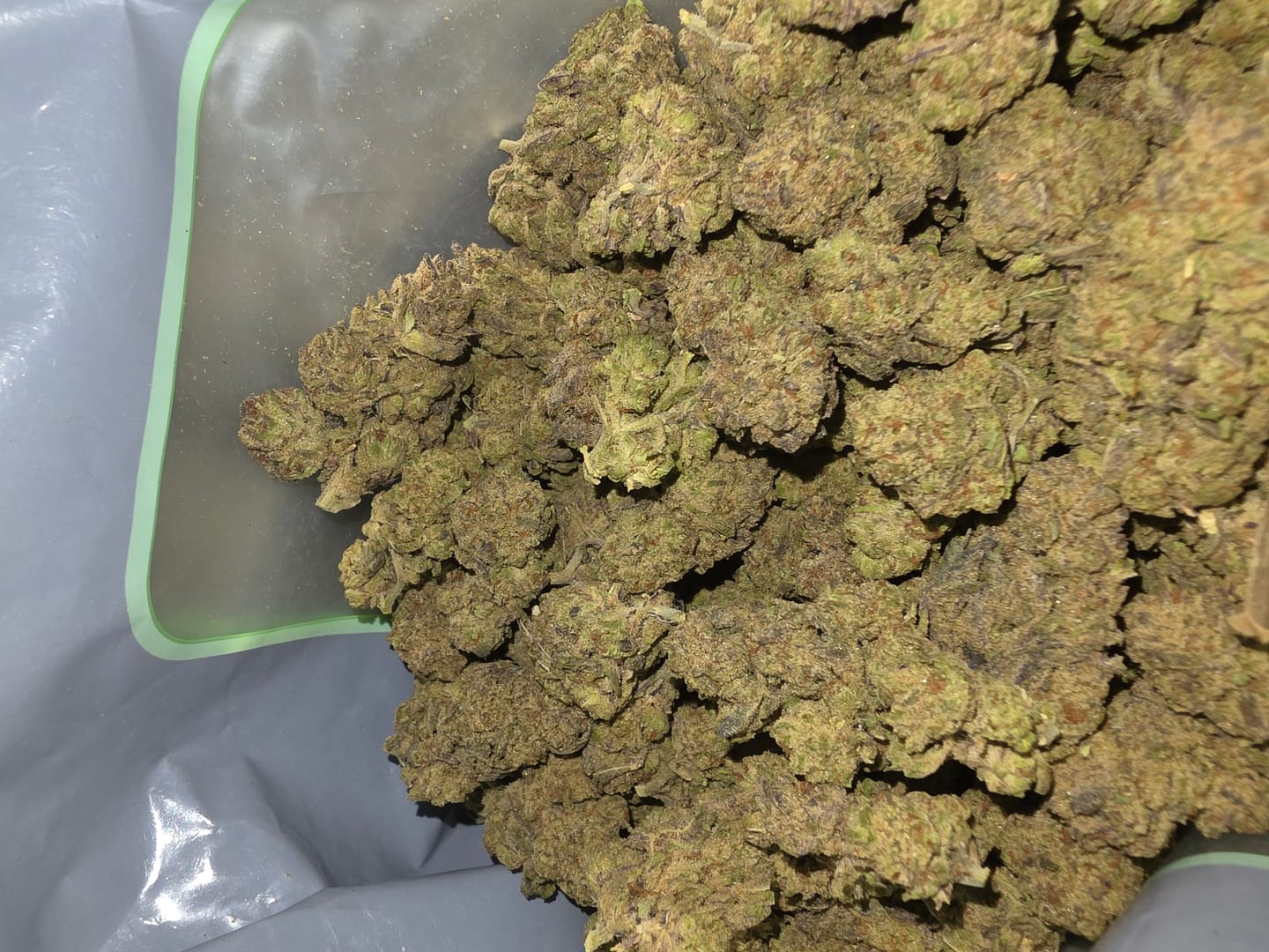 Customer photo review of THCA Queen