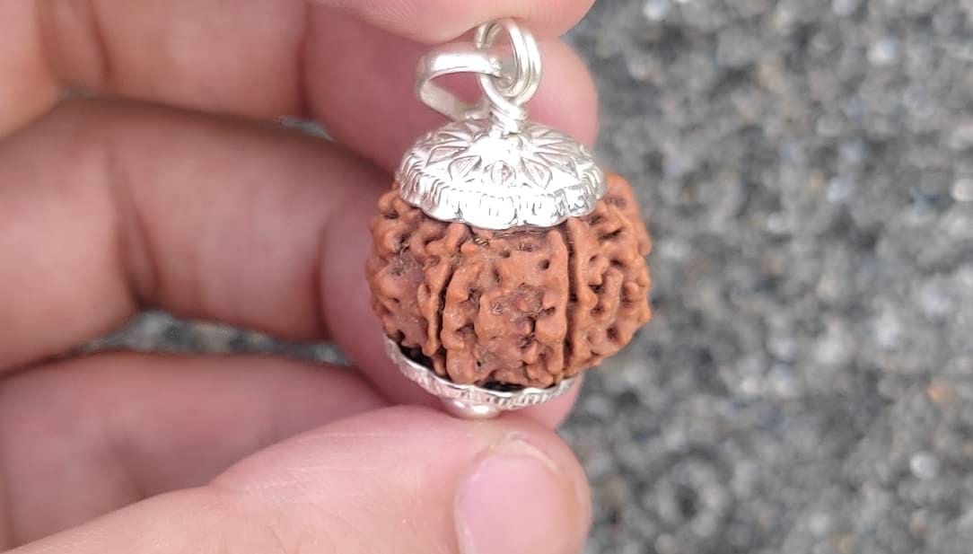 Customer photo review of Nepal Origin 6 Mukhi Rudraksha – 100% Natural & Certified