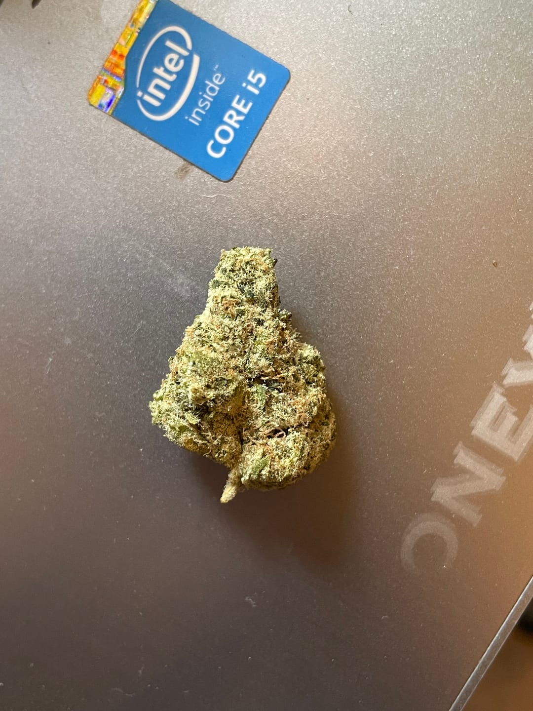 Customer photo review of Cheetah Piss