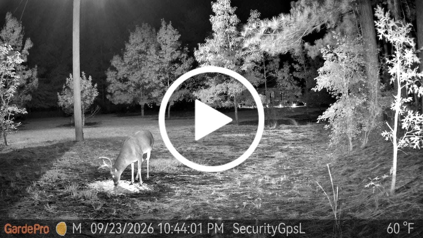 Customer video review of GardePro Link 1.0 3000ft(1km) Long-Range Wireless Trail Camera