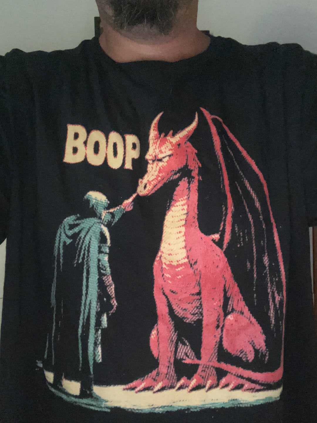 Customer photo review of Boop the Dragon T-Shirt