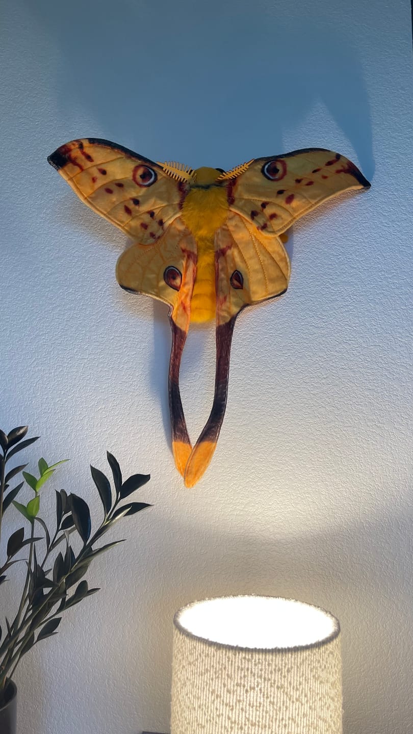 Customer photo review of Comet Moth Soft Stuffed Plush Toy