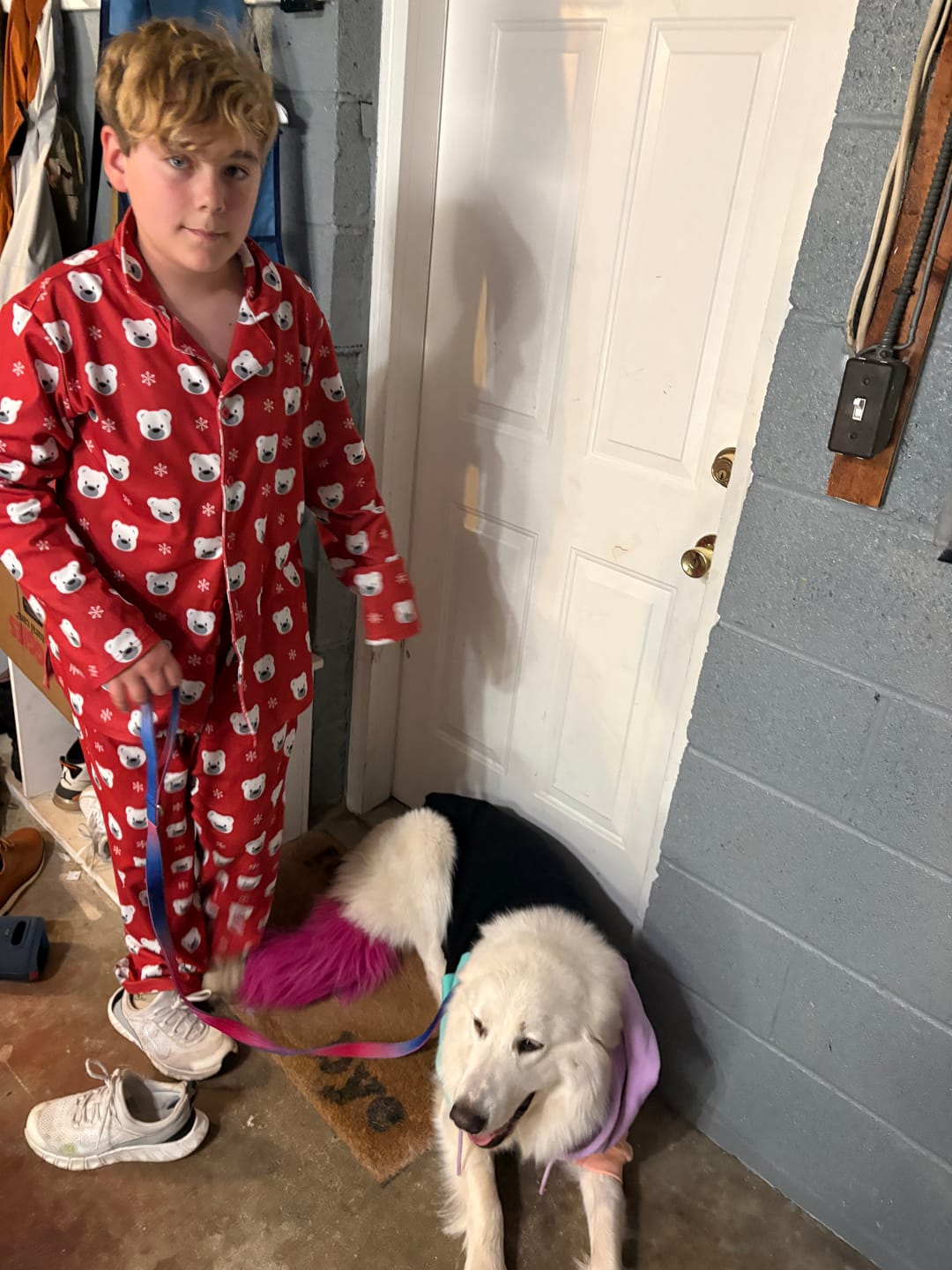 Customer photo review of Cyber Punk Dog Hoodie
