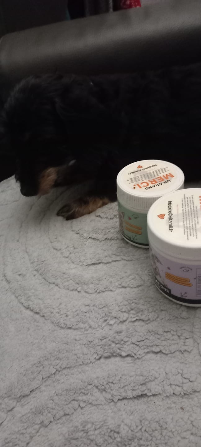 Customer photo review of Friandises Naturelles Articulations