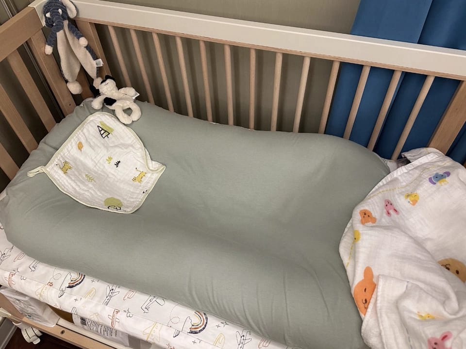 Customer photo review of Pastel Cotton Baby Lounger Nest
