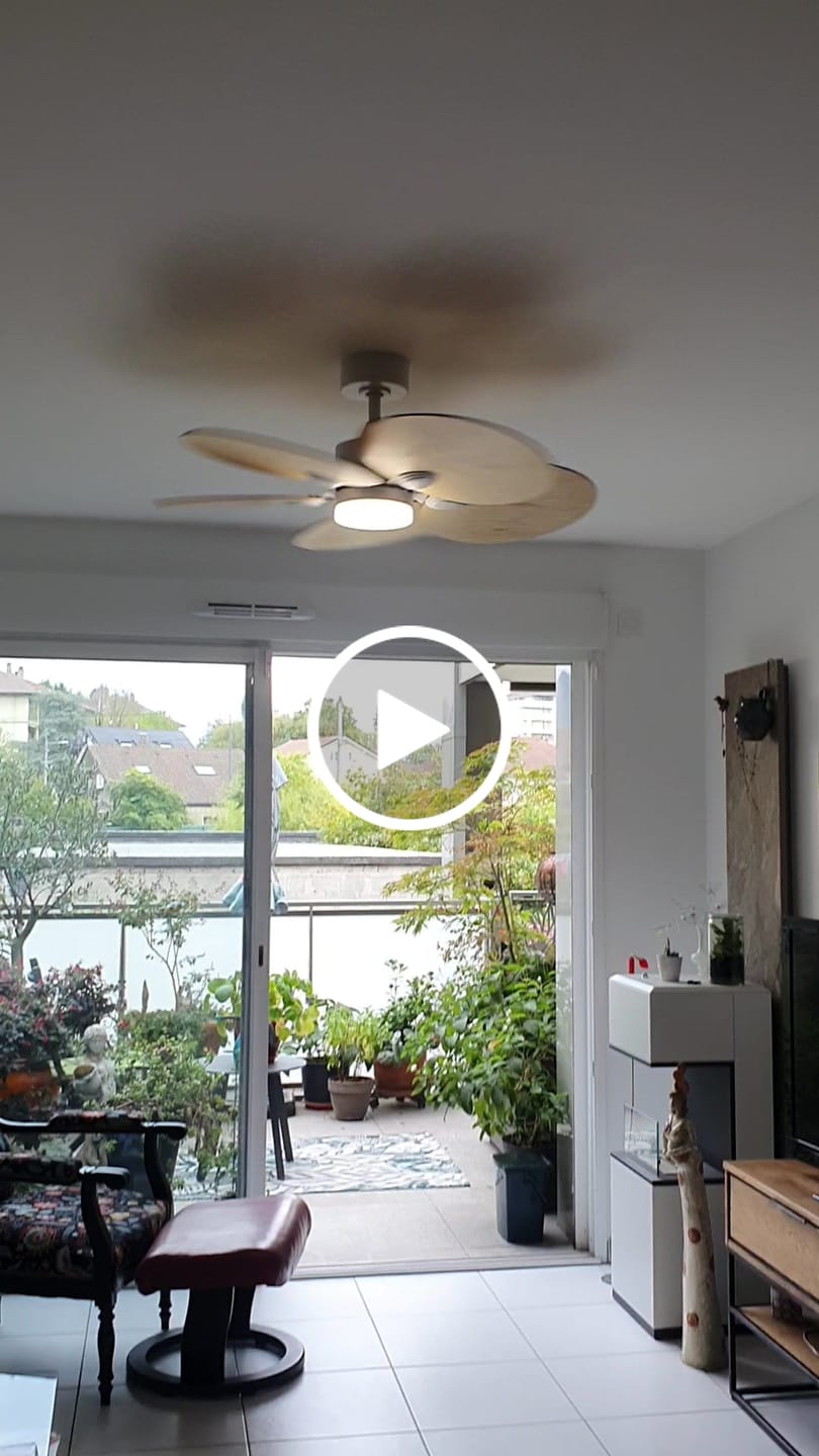 Customer video review of Lotus teinté Chêne | Ventilateur de plafond – Ø 105 cm