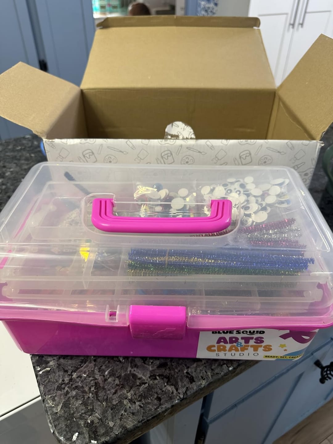 Customer photo review of Deluxe Craft Box