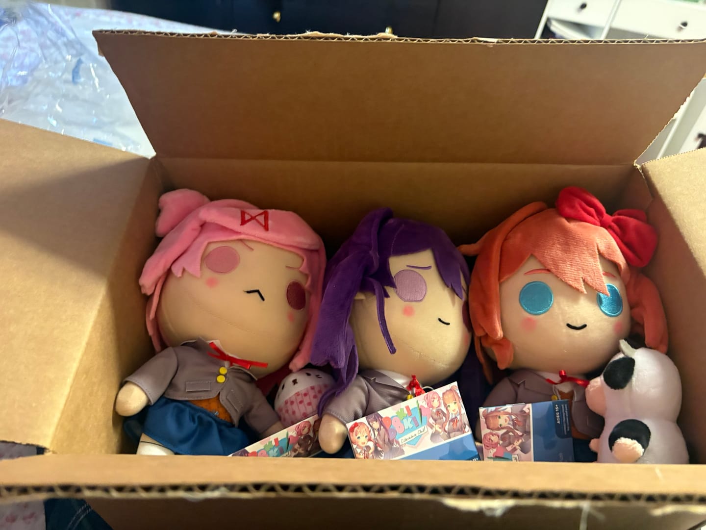 Customer photo review of Doki Doki Literature Club - Natsuki Collector's Plush