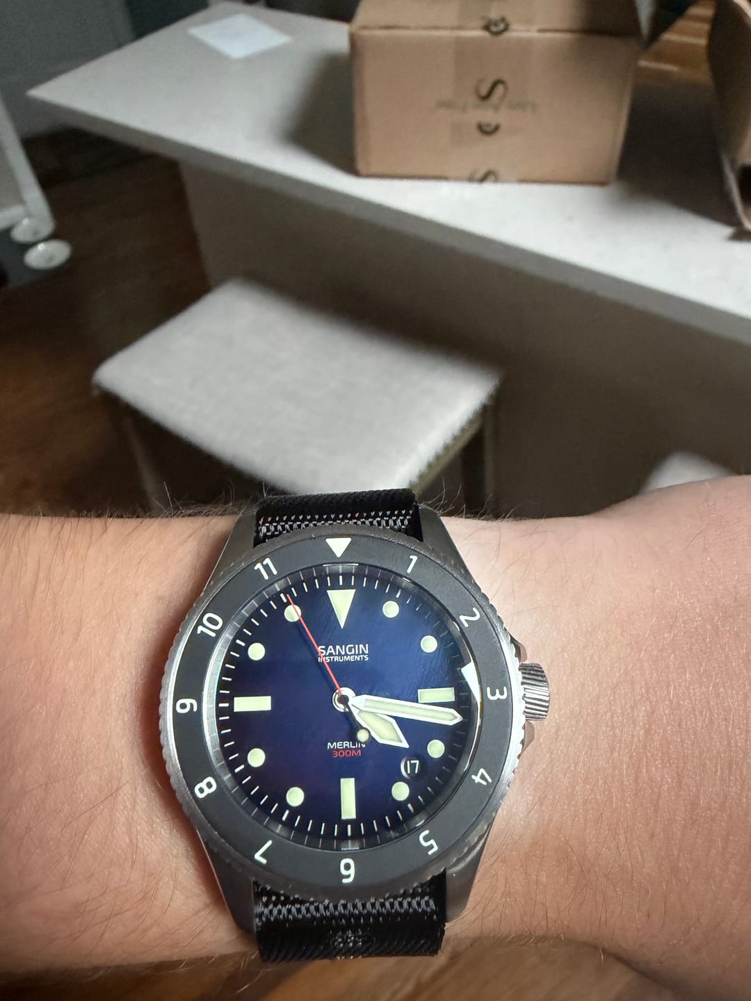 Customer photo review of Merlin (Private Release)