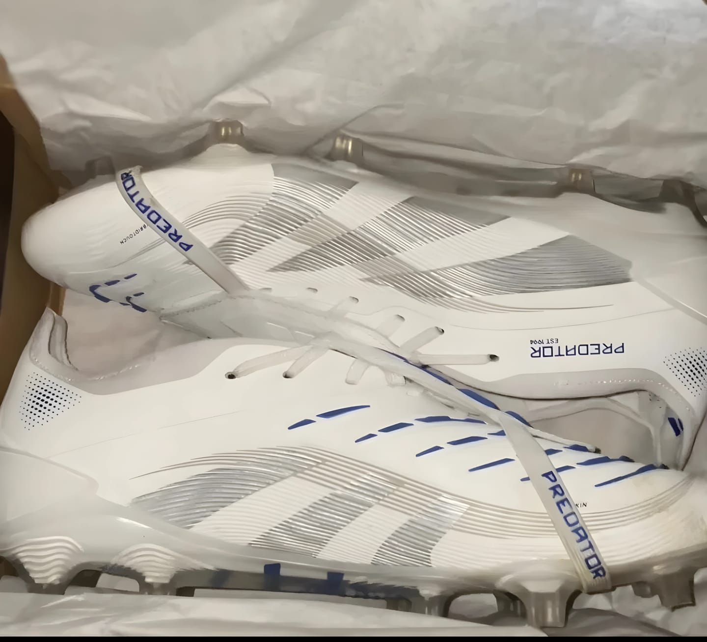 Customer photo review of Predator Elite FT SG Polar Victory